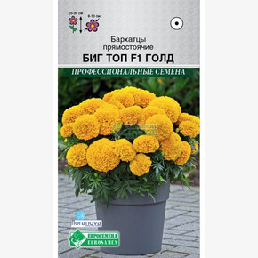 Бархатцы БИГ ТОП Голд прямостоячие (10 шт)/ Евросемена