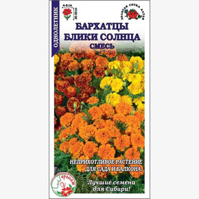 Бархатцы Блики Солнца/ Сотка