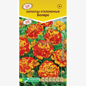 Бархатцы БОЛЕРО/ Евросемена ШК!