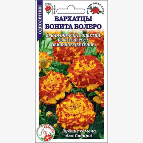 Бархатцы Бонита Болеро/ Сотка