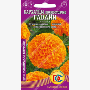 Бархатцы Гавайи прямост. махр. /0,2 гр Дем Сиб/