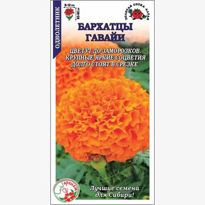 Бархатцы Гавайи/ Сотка