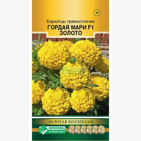 Бархатцы ГОРДАЯ МАРИ ЗОЛОТО 5 шт/ Евросемена