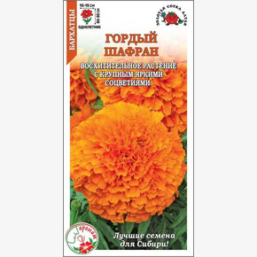 Бархатцы Гордый Шафран/ Сотка