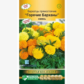 Бархатцы Горячие Барханы, смесь(10 шт)/ Евросемена