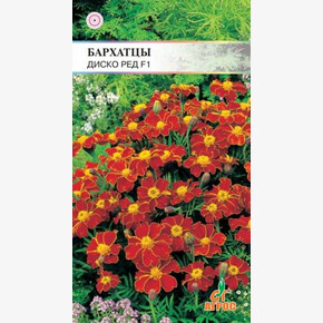 Бархатцы Диско Ред /Агрос