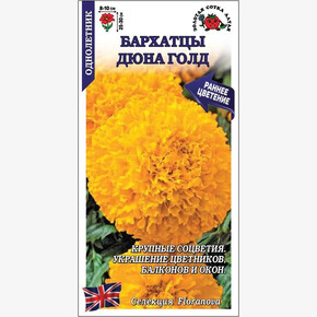 Бархатцы Дюна Голд прямост /Сотка/ 5 шт