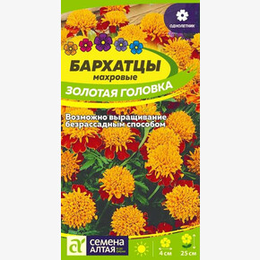 Бархатцы Золотая Головка махровые/Сем Алт/цп 0,2 гр.