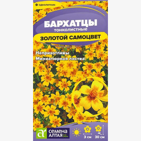 Бархатцы Золотой Самоцвет/ Семена Алтая