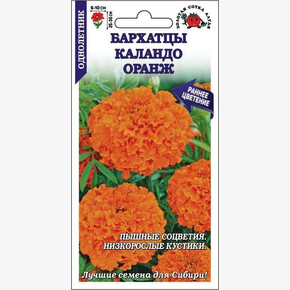 Бархатцы Каландо Оранж/ Сотка