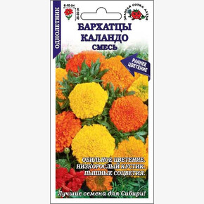 Бархатцы Каландо смесь/ Сотка