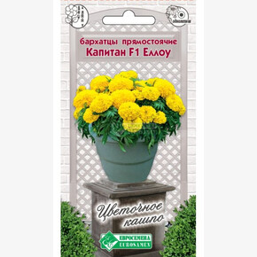 Бархатцы КАПИТАН ЕЛЛОУ прямостоячие (10 шт)/ Евросемена