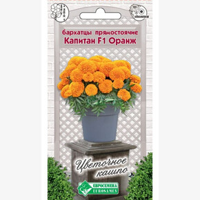 Бархатцы КАПИТАН ОРАНЖ 10 шт/ Евросемена