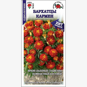 Бархатцы Кармен/ Сотка