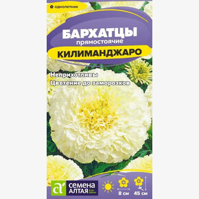 Бархатцы Килиманджаро/ Семена Алтая