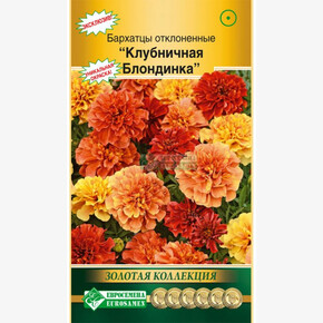 Бархатцы КЛУБНИЧНАЯ БЛОНДИНКА отклоненные (10 шт)/ Евросемена