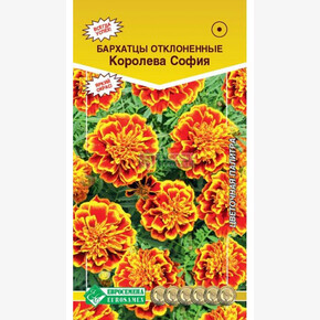 Бархатцы КОРОЛЕВА СОФИЯ 0,2 гр/ Евросемена