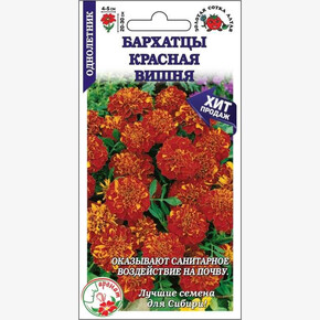 Бархатцы Красная вишня/ Сотка