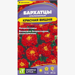 Бархатцы Красная Вишня/Сем Алт/цп 0,2 гр.