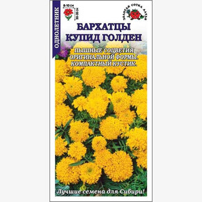 Бархатцы Купид Голден /Сотка/ 0,1г/ прям. 35см, d-10см/*1500