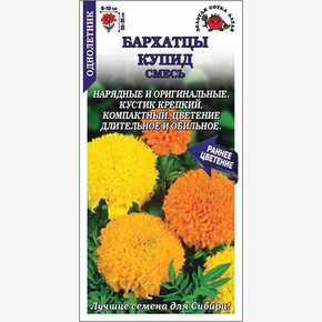 Бархатцы Купид смесь /Сотка/