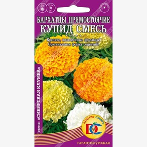 Бархатцы Купид/ Деметра