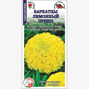 Бархатцы Лимонный Принц/ Сотка