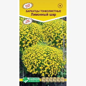 Бархатцы ЛИМОННЫЙ ШАР 0,05 гр/ Евросемена