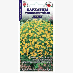 Бархатцы Лу-лу /Сотка/ 0,1г/ тонколистные