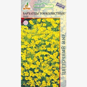 Бархатцы Лулу/ Агрос