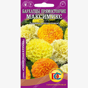 Бархатцы Максимикс прямост. махр. /0,2 гр Деметра/