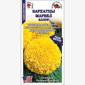 Бархатцы Марвел Еллоу /Сотка/ 5шт/ прям. 45см, d-9см/*1800