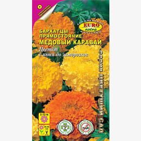 Бархатцы Медовый каравай смесь/ Аэлита