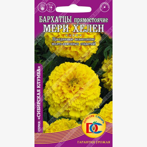 Бархатцы Мери Хелен прямост. махр. /0,2 гр Дем Сиб/