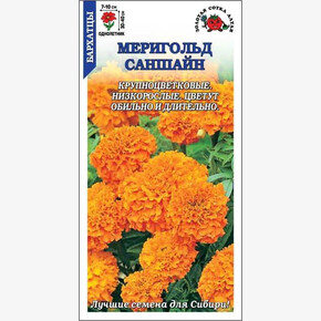 Бархатцы Меригольд Саншайн/ Сотка