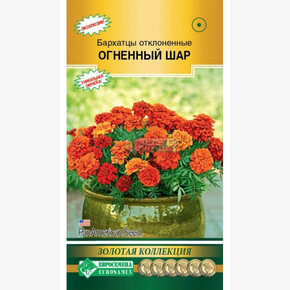 Бархатцы ОГНЕННЫЙ ШАР отклоненные (10 шт)/ Евросемена