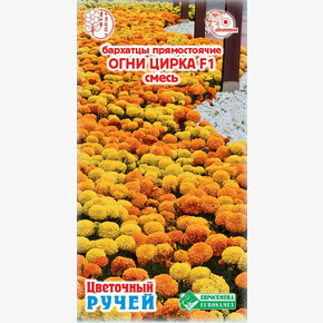 Бархатцы ОГНИ ЦИРКА прямостоячие смесь 8 шт/ Евросемена