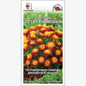 Бархатцы Петит Гармония/ Сотка