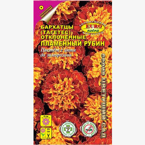 Бархатцы Пламенный рубин/ Аэлита