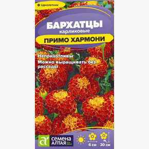 Бархатцы Примо Хармони карликовые/Сем Алт/цп 0,1 гр.