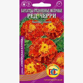 Бархатцы Ред Черри откл. махр. /0,2 гр Дем Сиб/