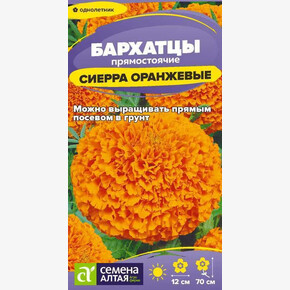 Бархатцы Сиерра Оранжевые/Семена Алтая/цп 0,2 гр. (2029 / 42377)
