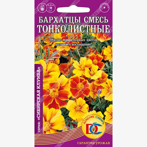 Бархатцы Смесь Тонколистные /0,1 гр Дем Сиб/