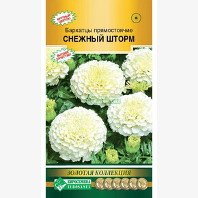 Бархатцы СНЕЖНЫЙ ШТОРМ прямостоячие (10 шт)/ Евросемена