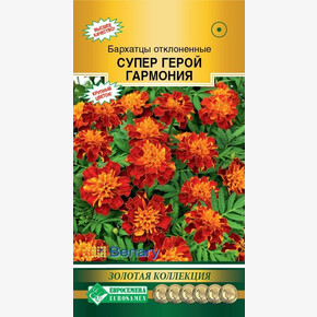 Бархатцы СУПЕР ГЕРОЙ ГАРМОНИЯ отклоненные (15 шт)/ Евросемена