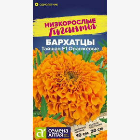 Бархатцы Тайшан Оранжевые/ Семена Алтая 5 шт. Низкорослые гиганты