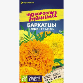 Бархатцы Тайшан Смесь/ Семена Алтая 5 шт. Низкорослые гиганты