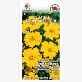 Бархатцы Танго Желтый /Сотка/ 0,2г/ h-20-25см d-3-5 см /*1200