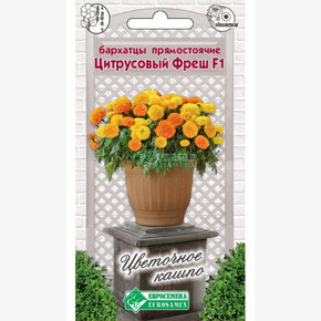 Бархатцы ЦИТРУСОВЫЙ ФРЕШ 10 шт/ Евросемена