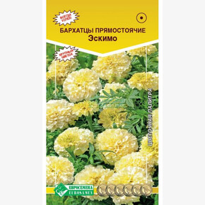 Бархатцы ЭСКИМО (ванильно-белые) (15 шт)/ Евросемена